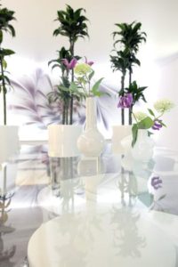 ReeVivo-Praxis Details